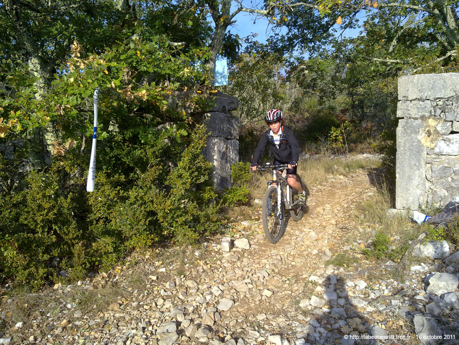20111016_022