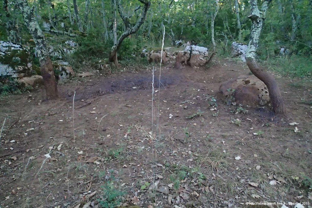 20150723_09