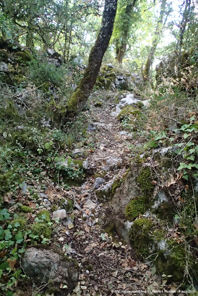 20150809_06