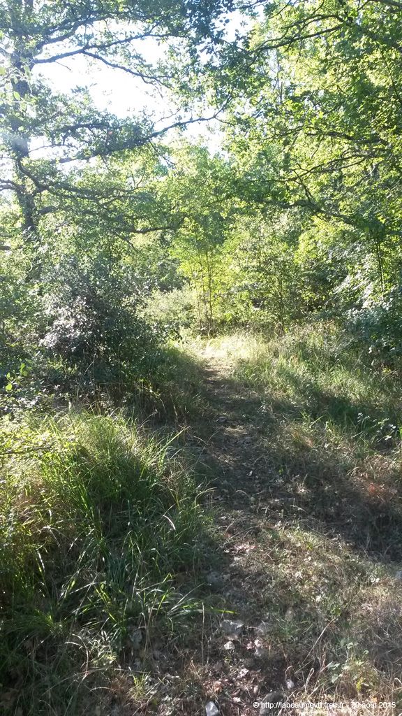 20150820_084206