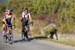 20160904_rte3005