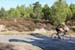 20160904_rte3007