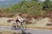 20160904_rte3013