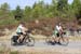 20160904_rte3027