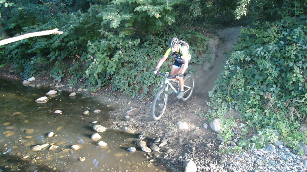 20160904_vtt2014