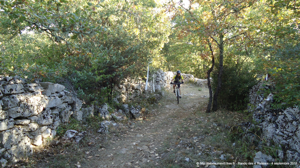 20160904_vtt2019