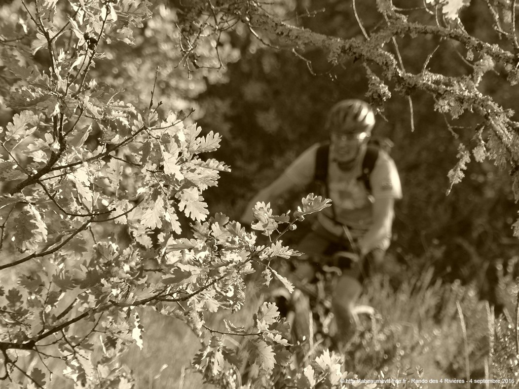 20160904_vtt2048