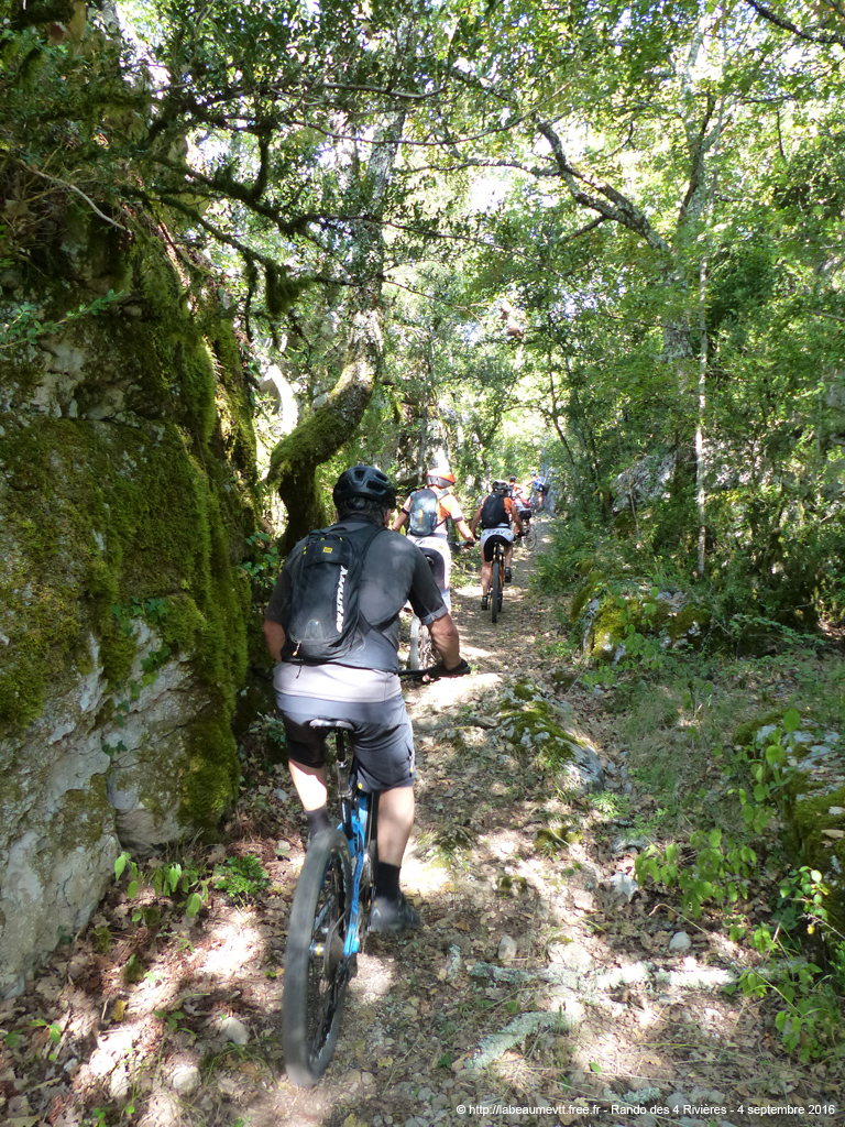 20160904_vtt4049