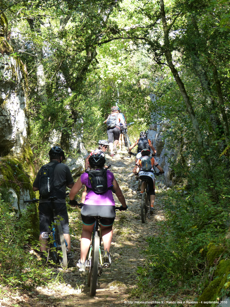 20160904_vtt4050