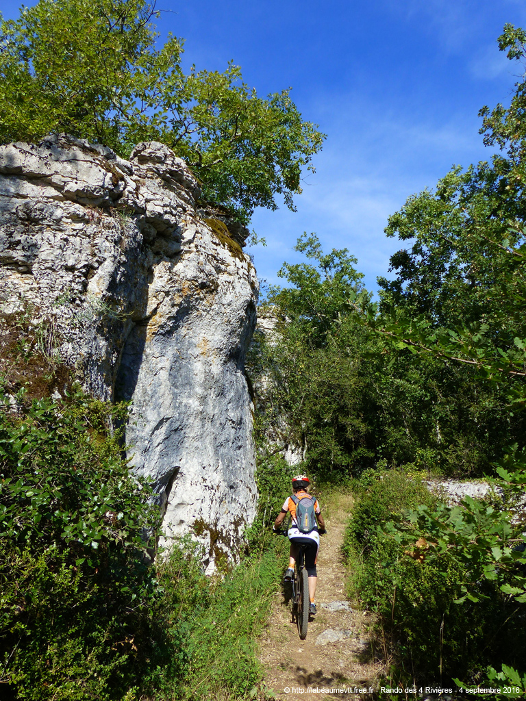 20160904_vtt4052