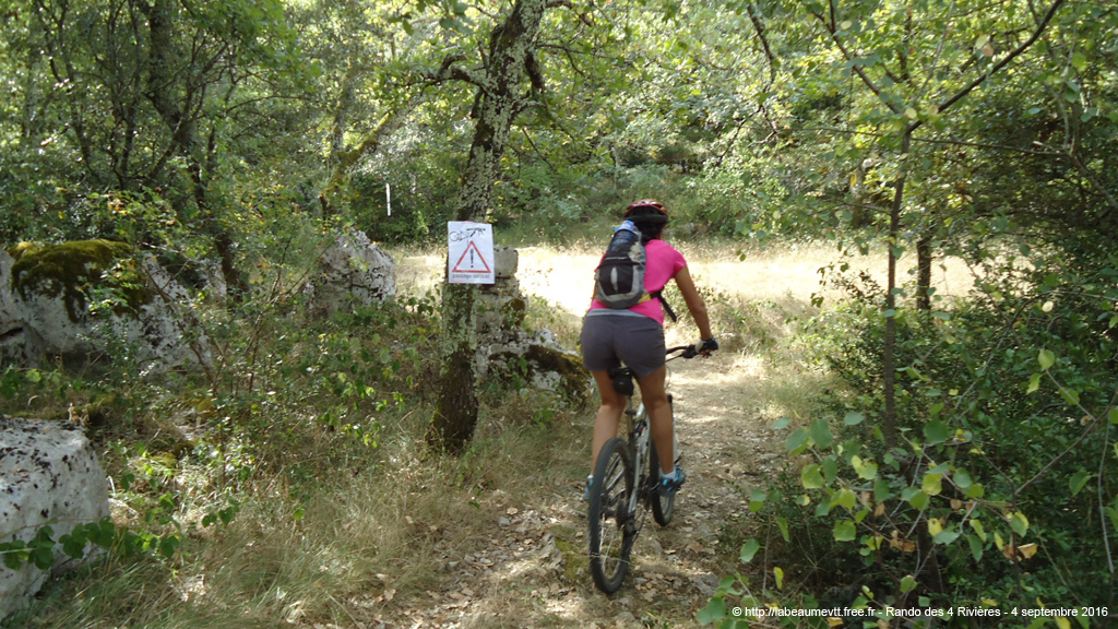 20160904_vtt6003