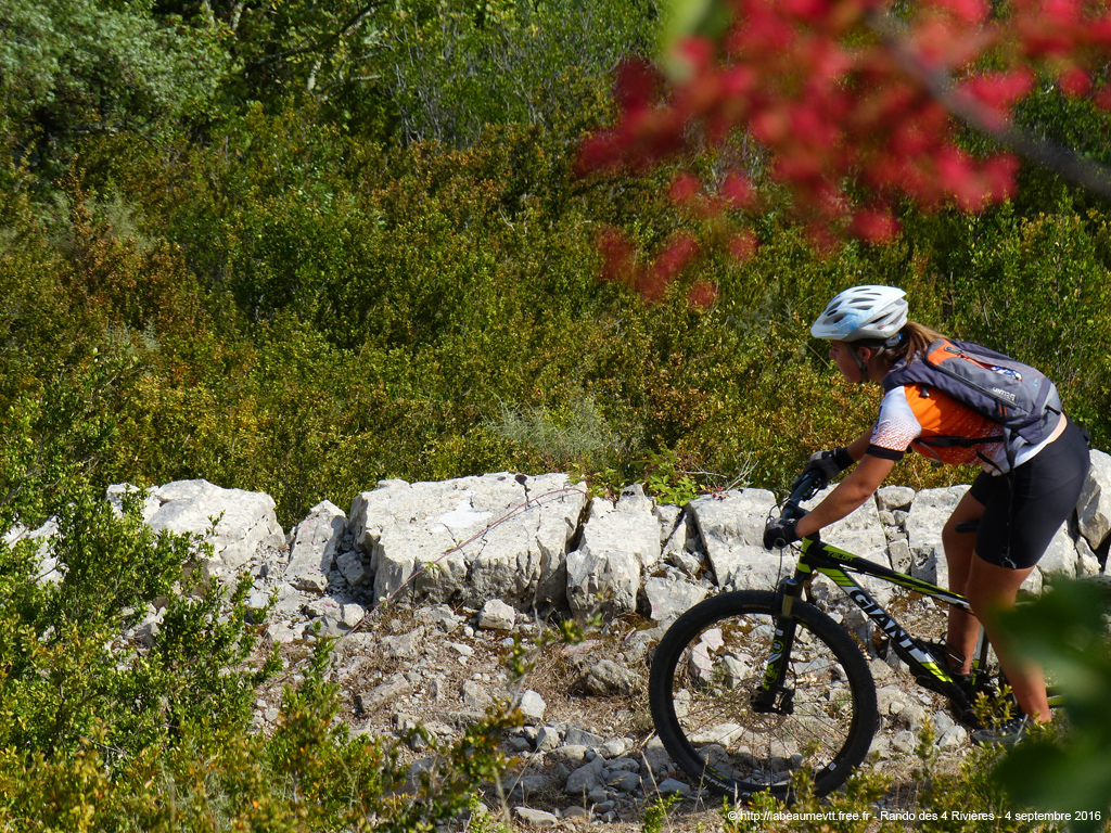 20160904_vtt6108