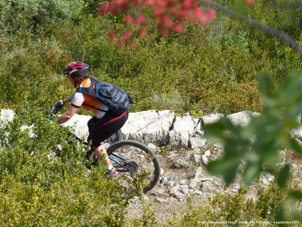 20160904_vtt6109