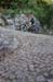 20210912_4rivb037