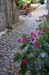 20210912_4rivb046
