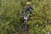 20090419_vtt100