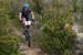 20090419_vtt112