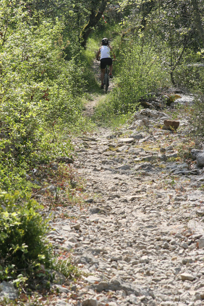 20100425f_486