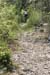 20100425f_486