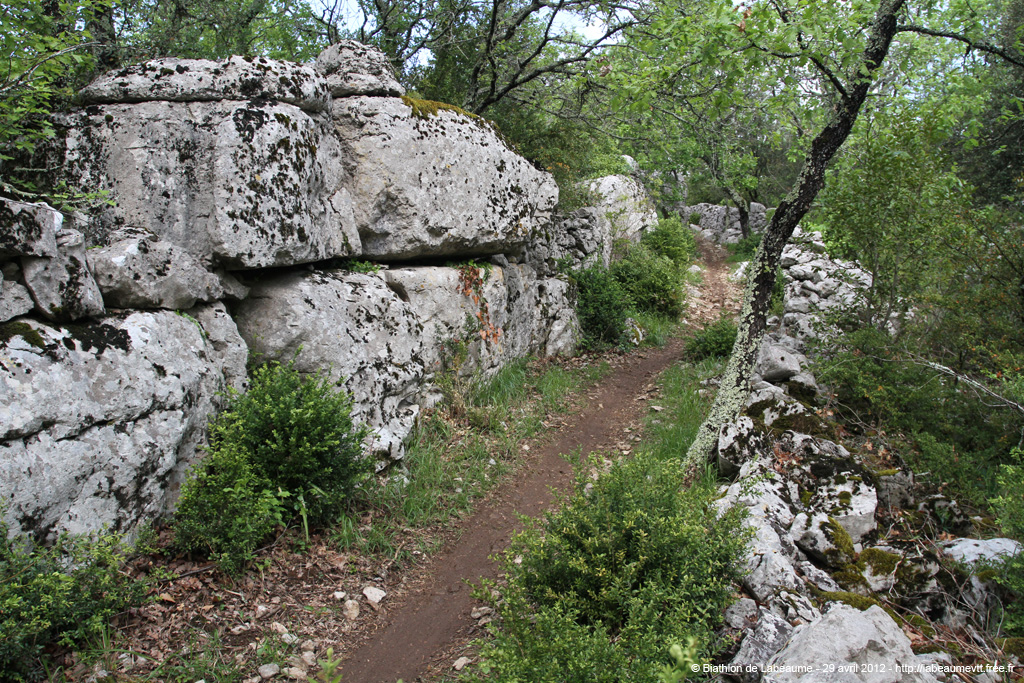 20120429e_072