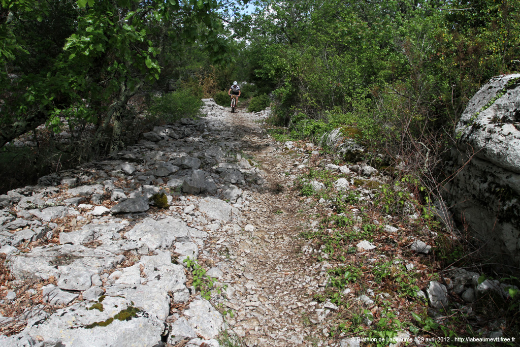 20120429e_124