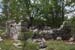 20120429e_005
