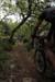 20120429e_041