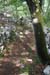 20120429e_160