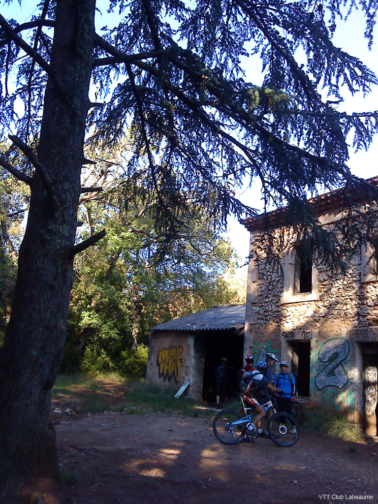 20091011_061
