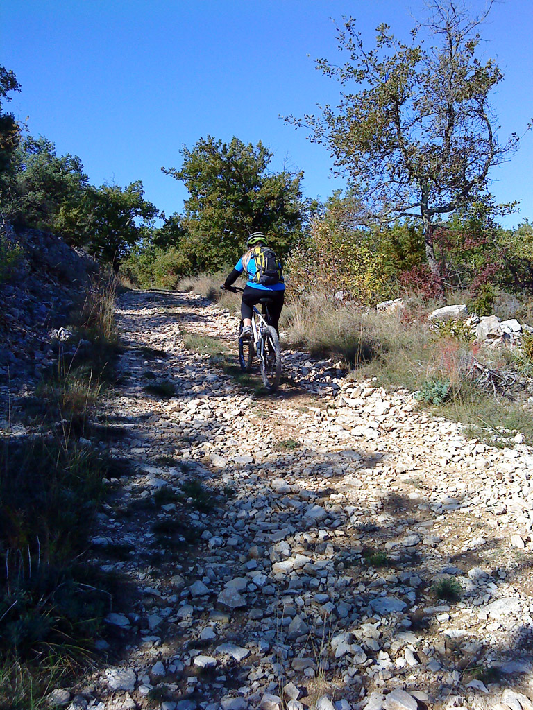 20091011_098