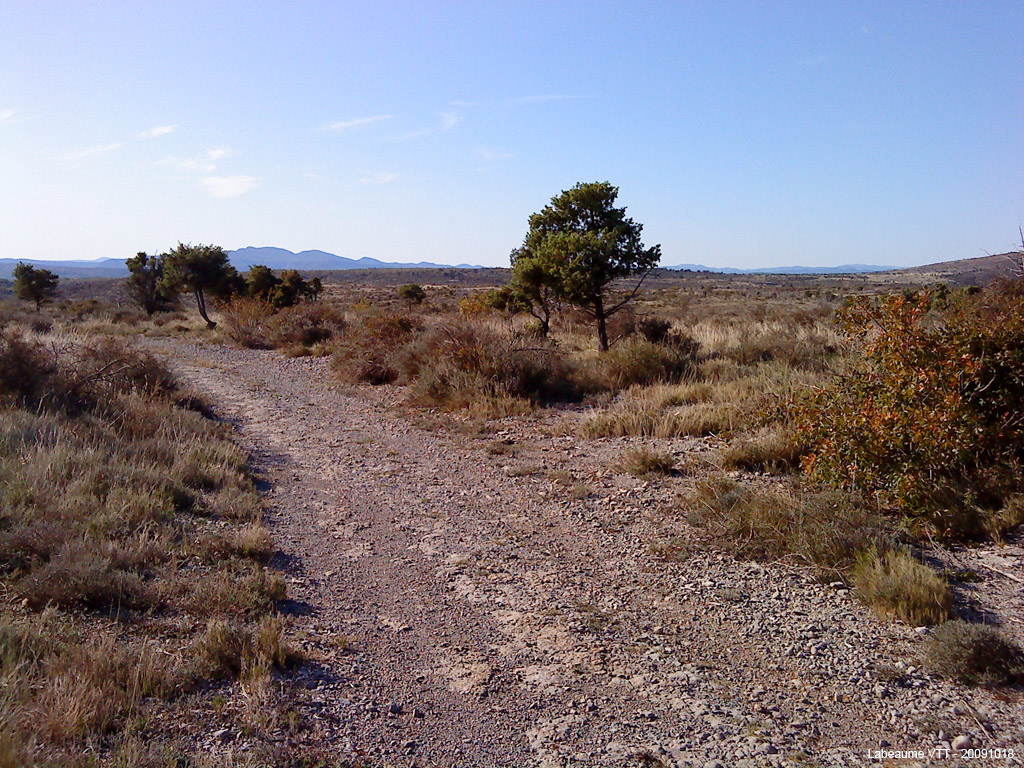 20090918_080