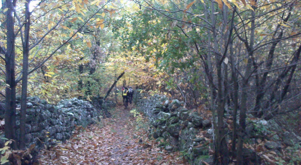 20091115_09