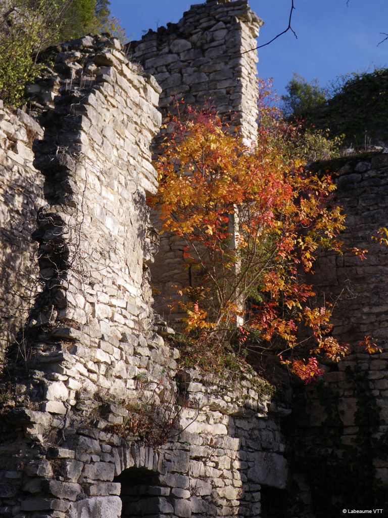 20091205_28