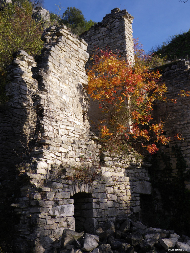 20091205_29