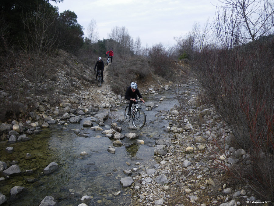 20100124_12