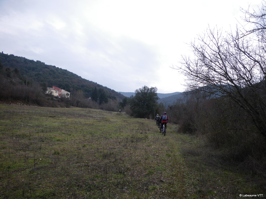 20100124_15