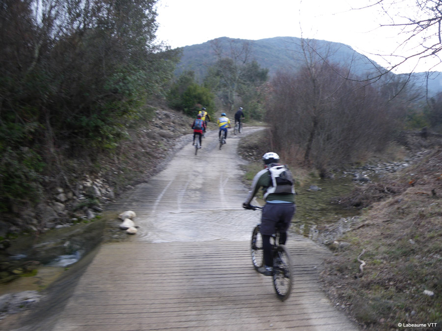 20100124_19