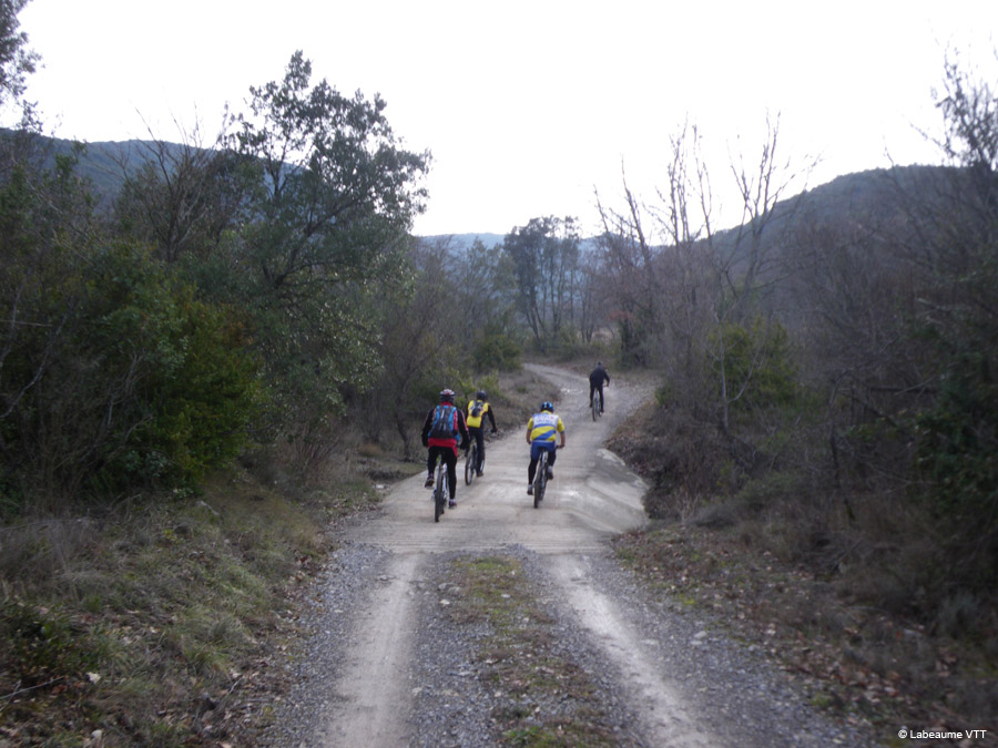 20100124_20