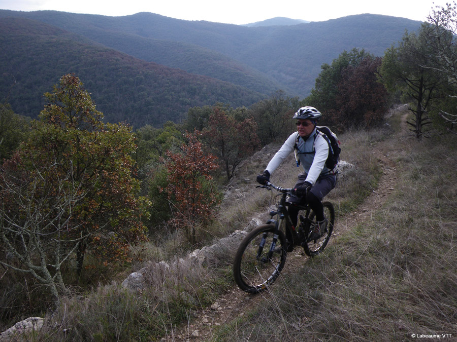20100124_24