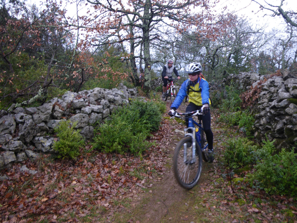 20100228_033
