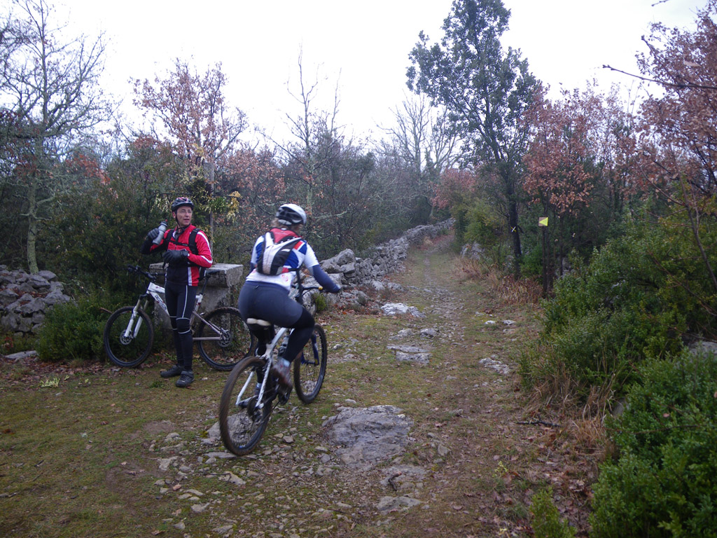 20100228_036
