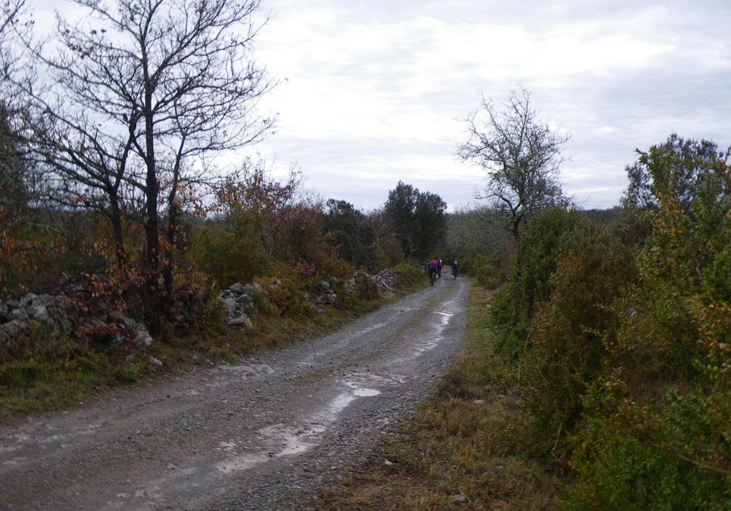 20100228_040