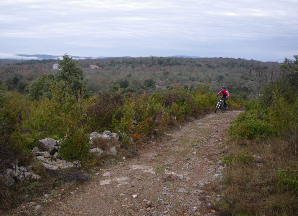 20100228_041