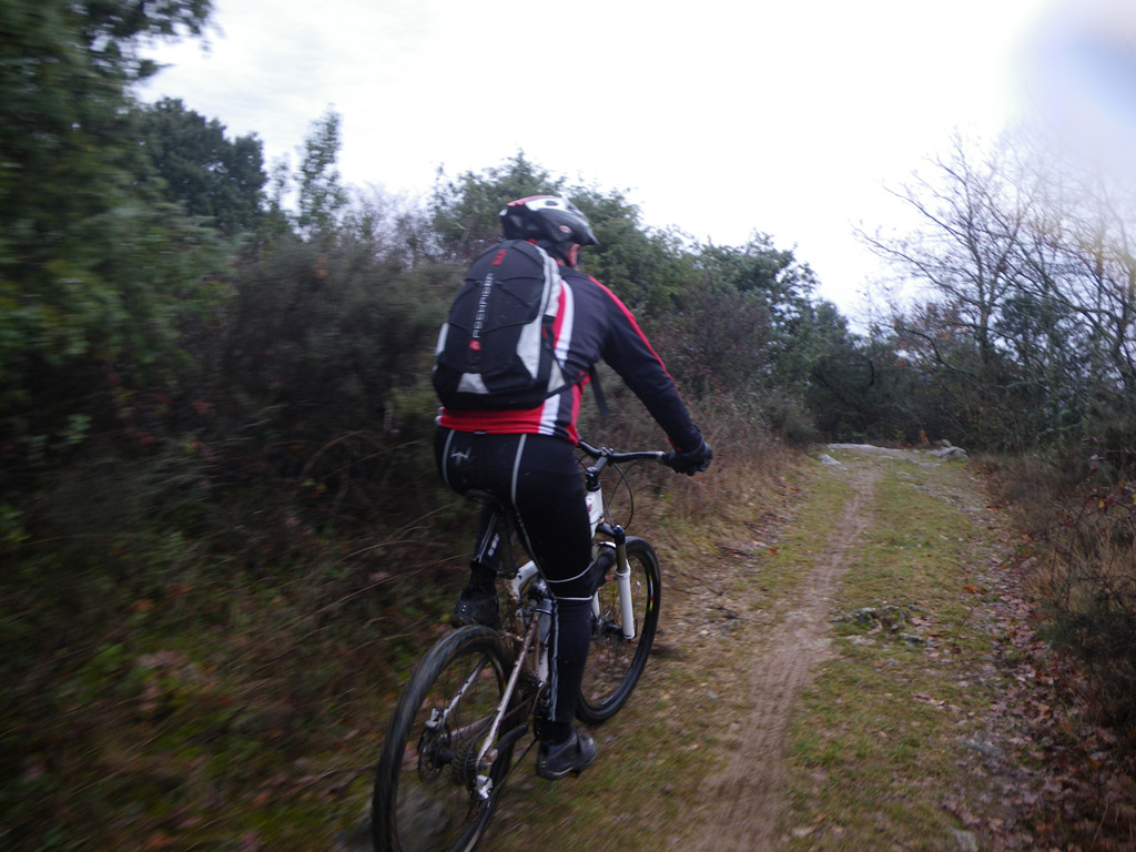20100228_069