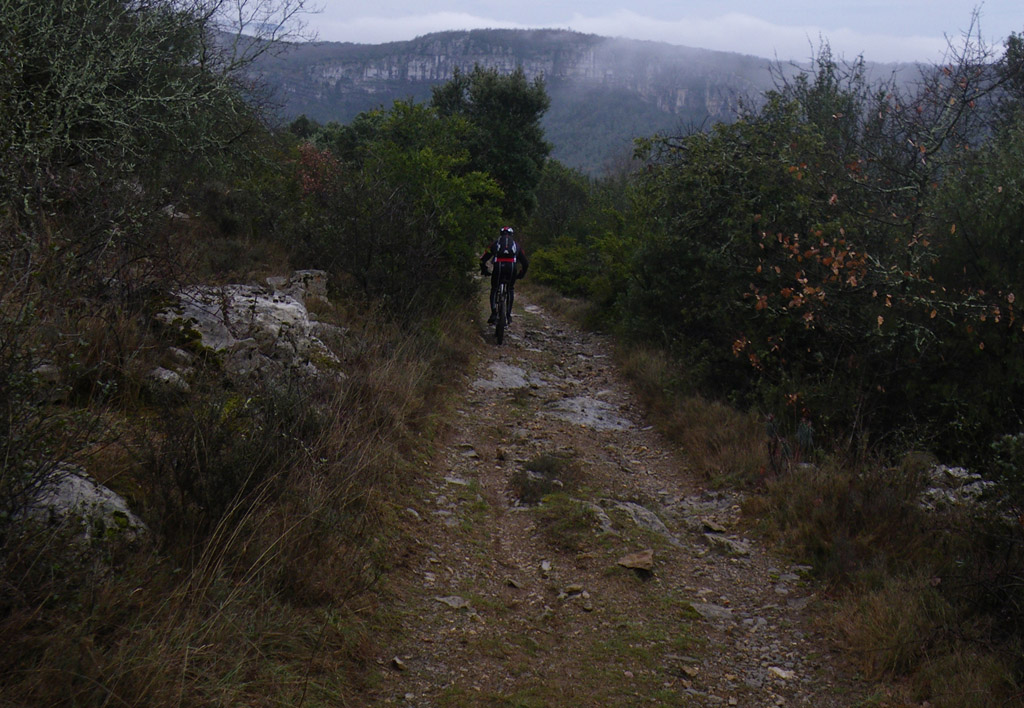 20100228_070