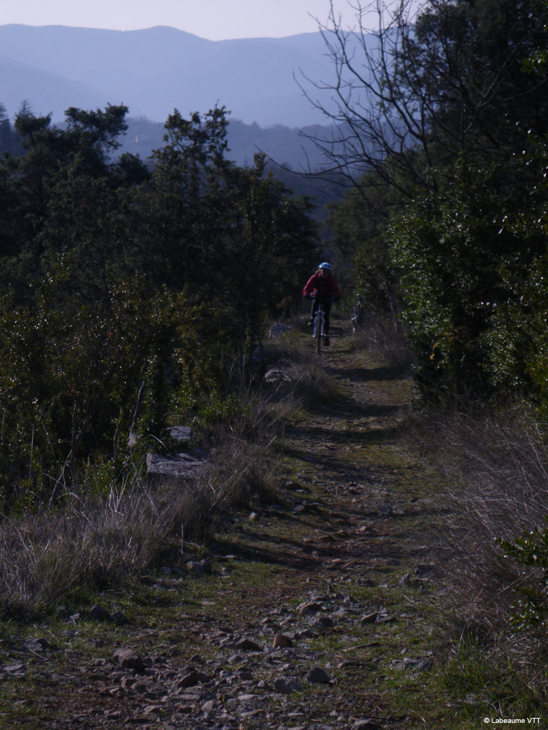 20100314_009