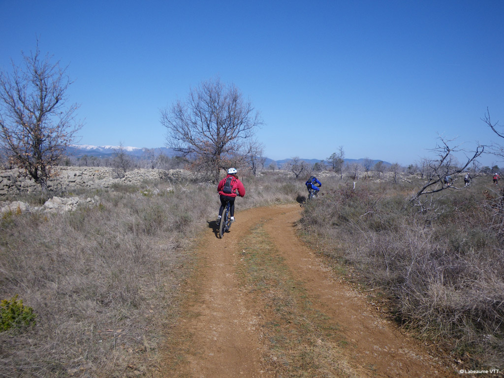 20100314_148