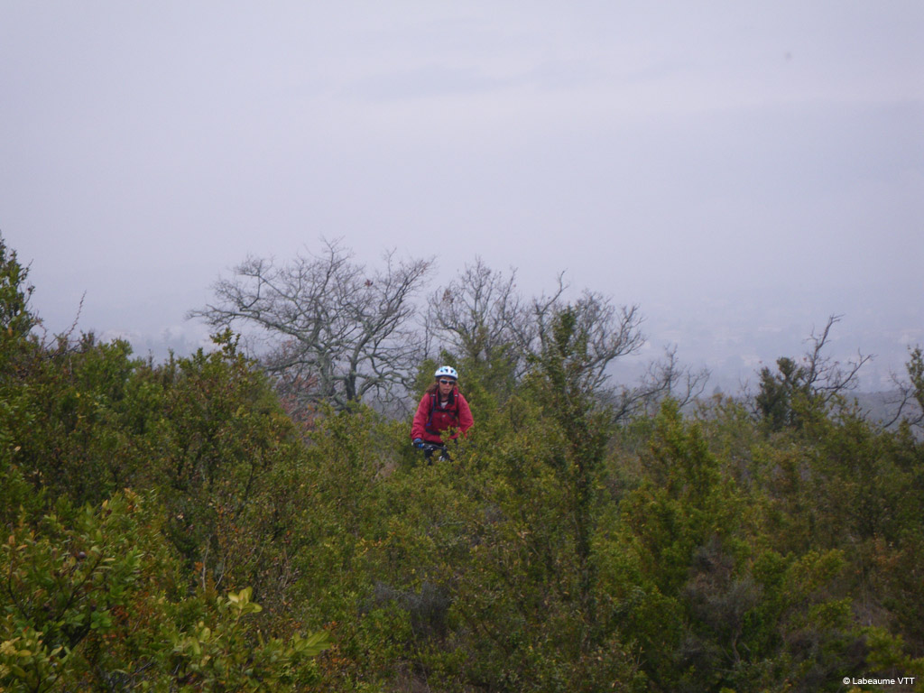 20100321_025