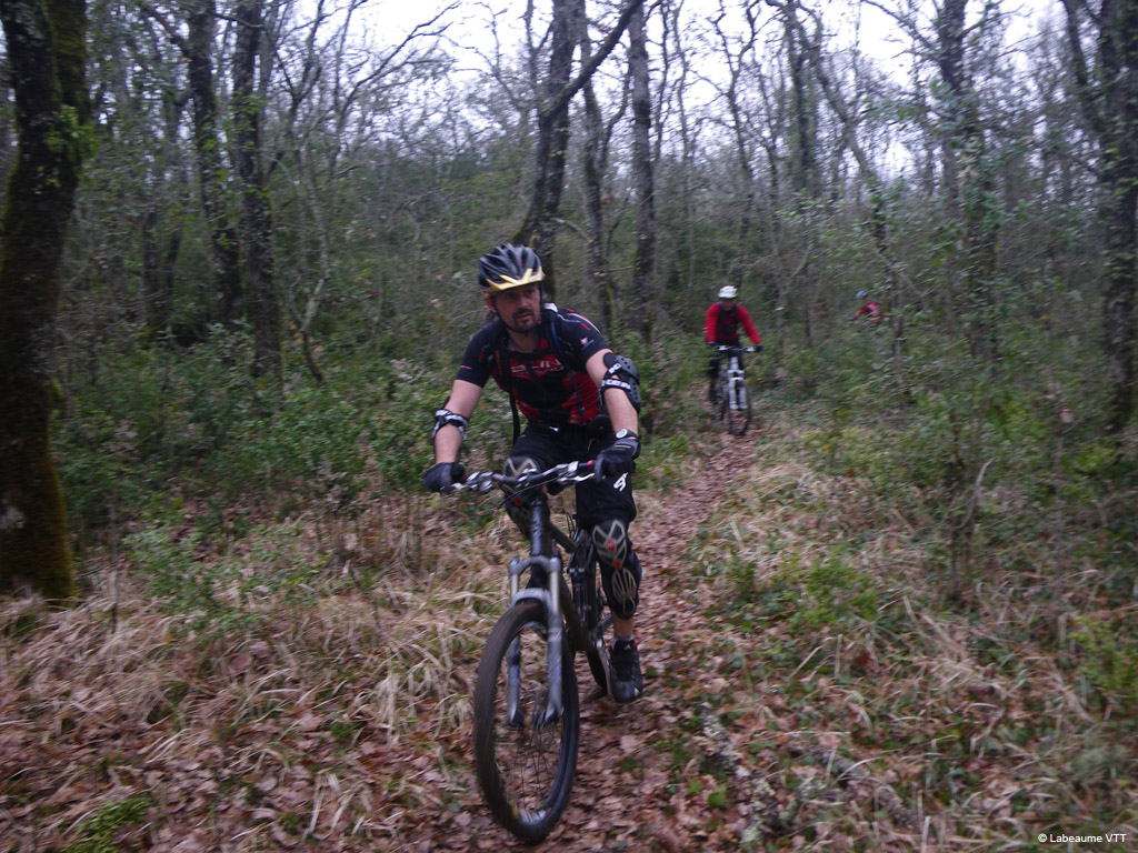20100321_067