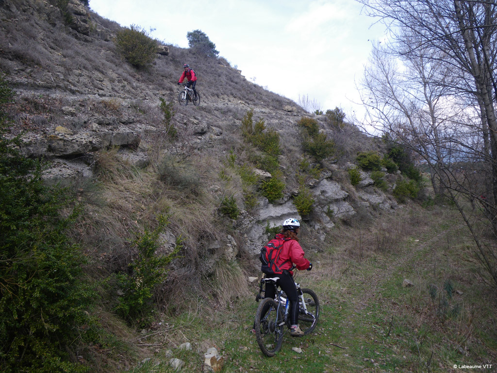 20100321_136